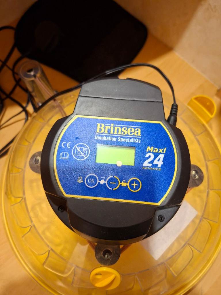 Brinsea maxi 24 advance