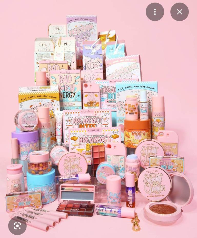 Plouise bundles 