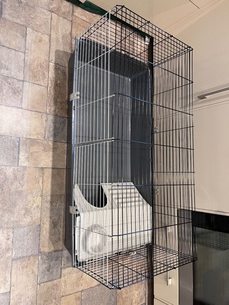 Guinea pig cage 
