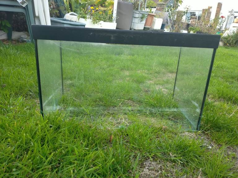 Small Fish tanks 