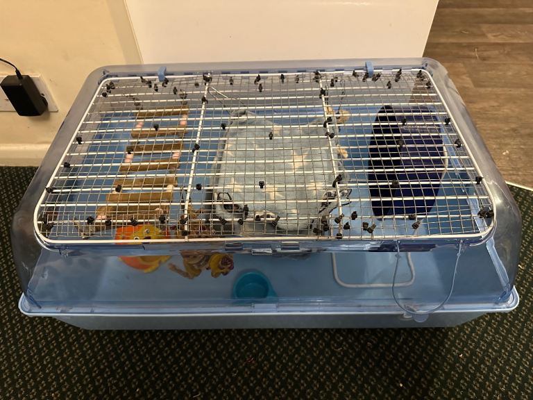 Zoozone1 plus accessories 