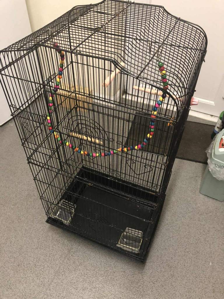 Budgie cage with acessories