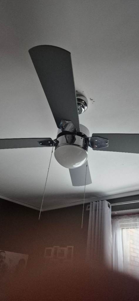Ceiling fans 