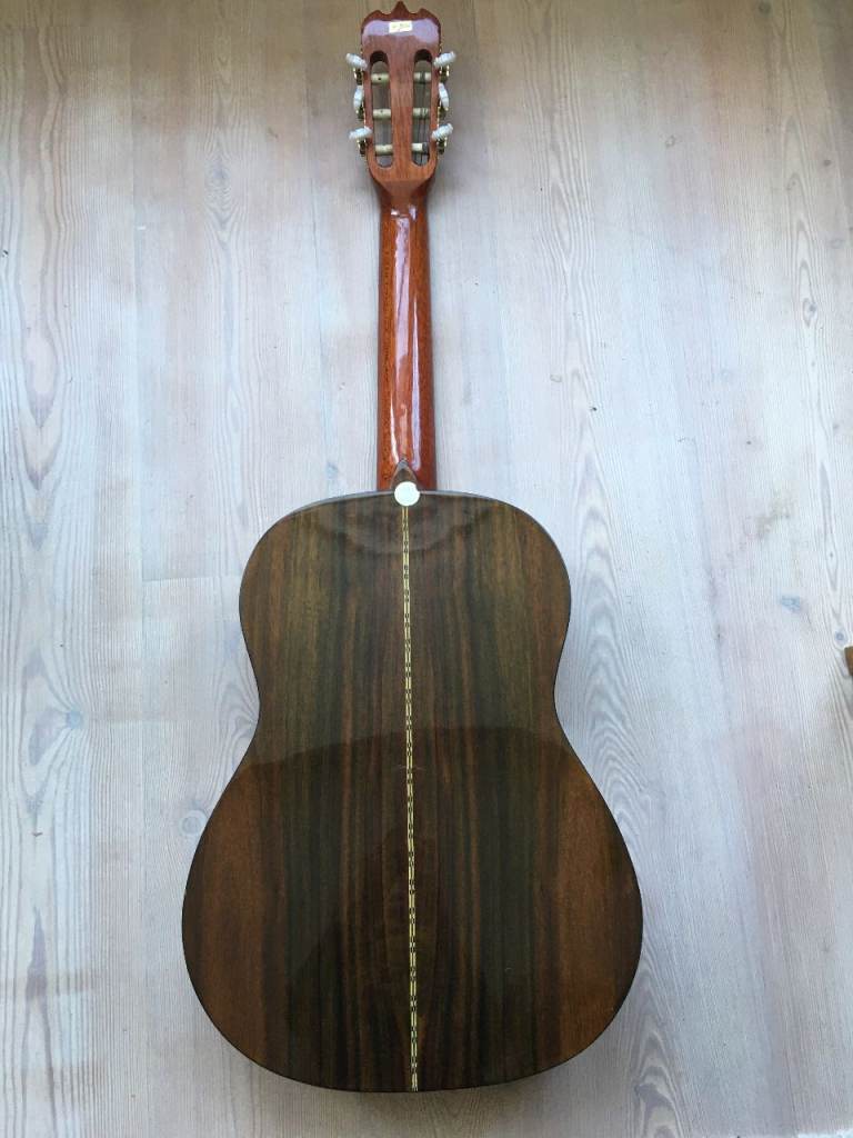 Horuguel acoustic guitar with case
