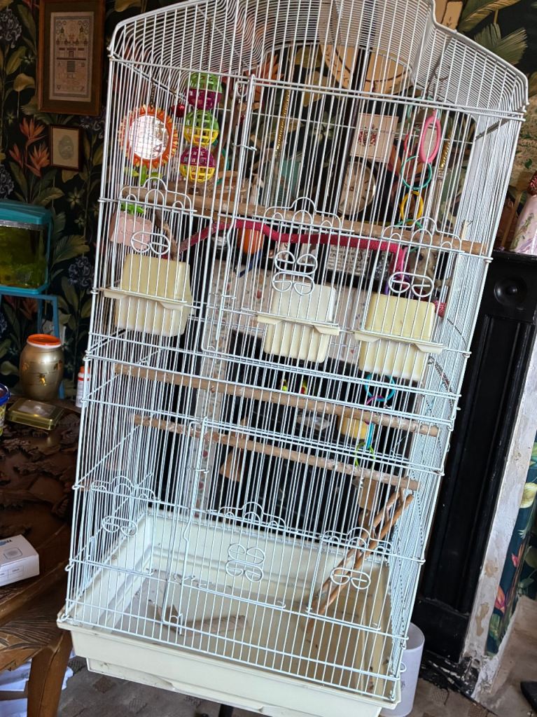 white bird cage on black stand