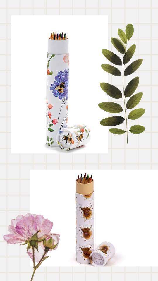 Large Pencil Pot - Highland Cow /Nectar Meadows