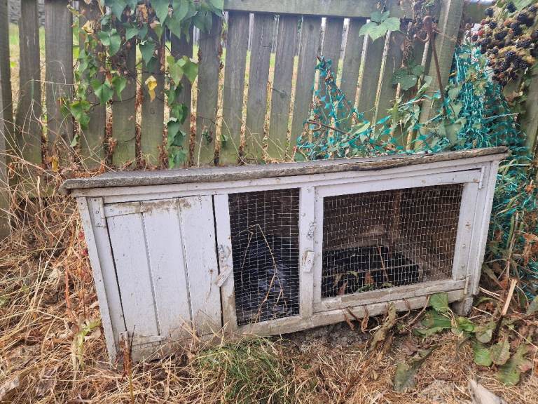 Free rabit hutch house guinea pig