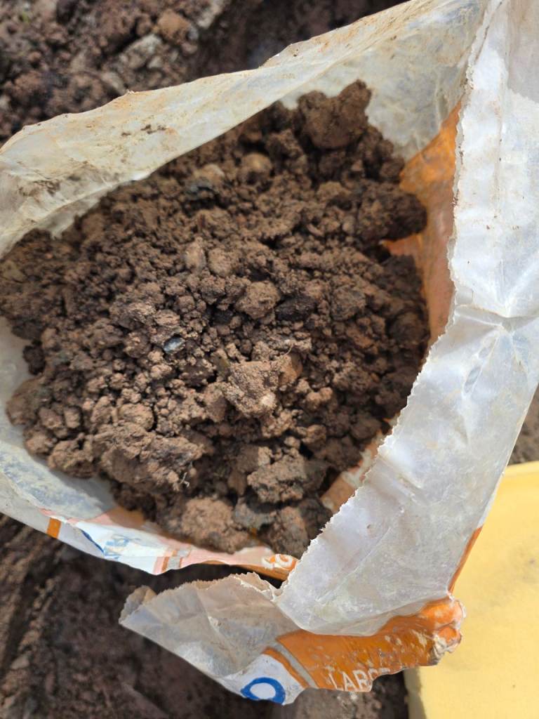 Free garden soil and bricks