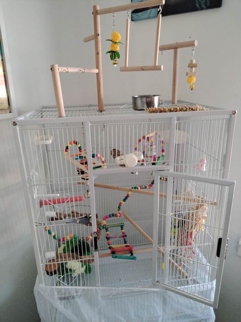Large birds cage