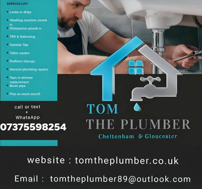 Professional plumber 