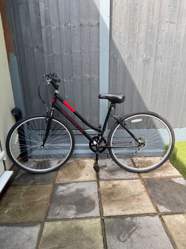 Avenue Professional Bike