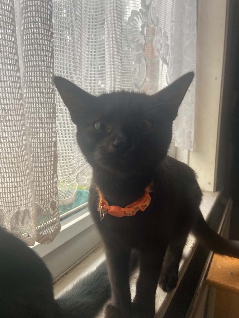 Little black beauty. 😍