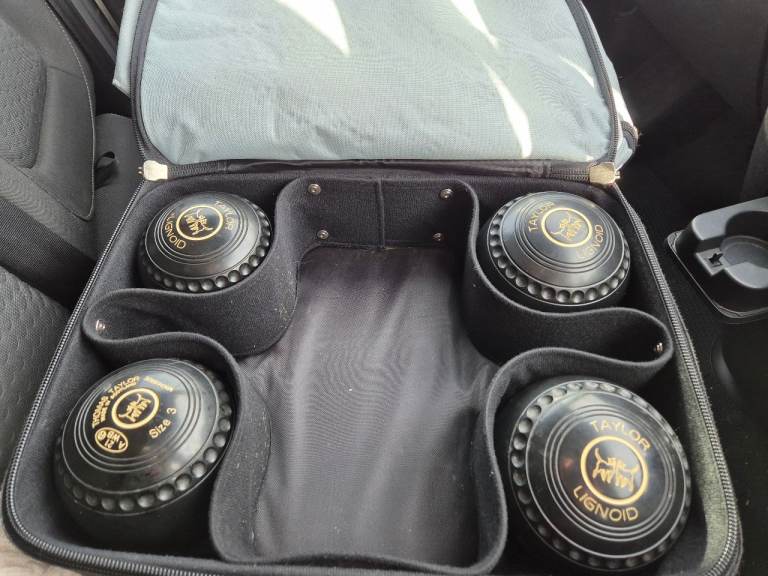 Taylor lignoid bowls 