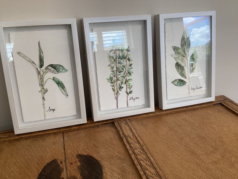 Three framed paintings of herbs 
