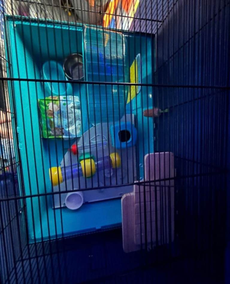 Hamster cage 