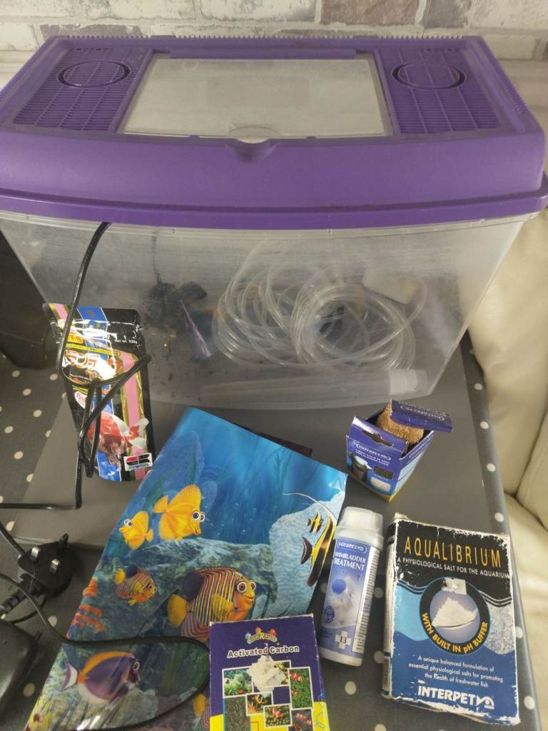 Small fish tank and accessories 