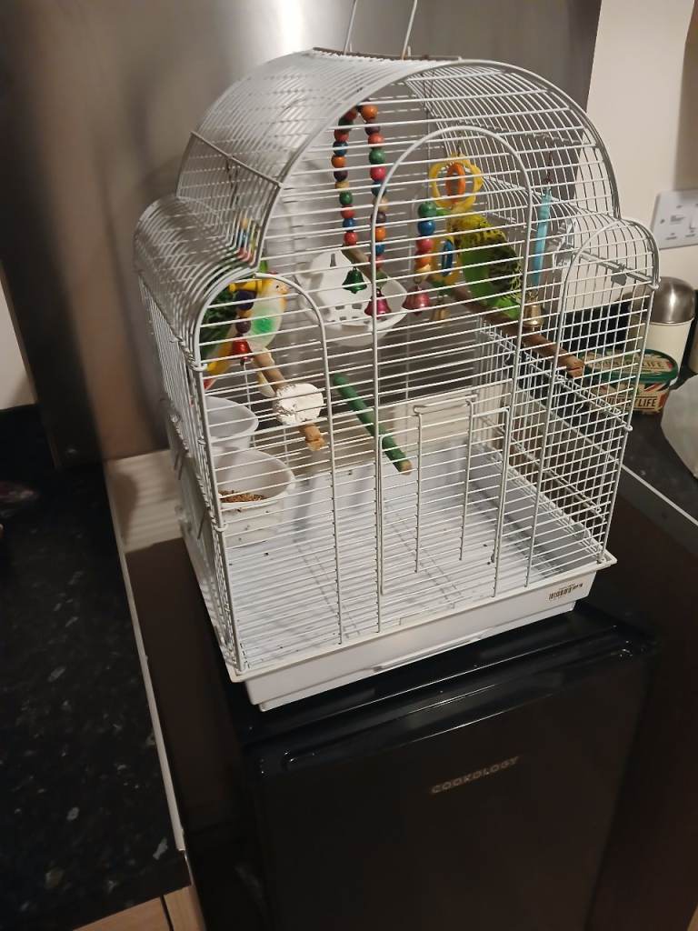 Bird cage with 2 buggie s