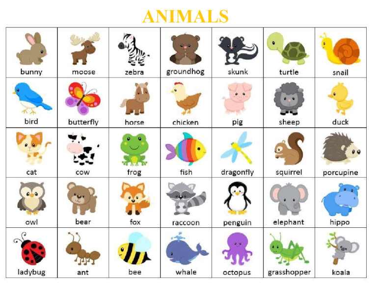 Game 'Find the animal' in English (possibly in other languages of the world)