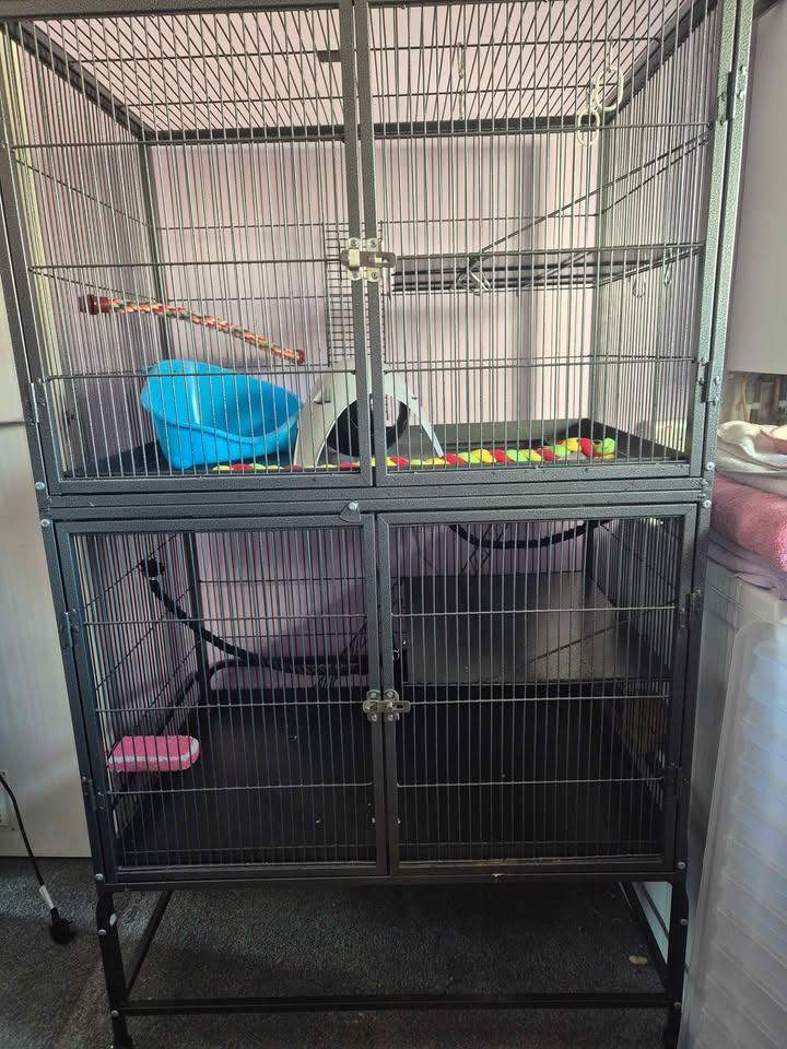 Two Floor Pet Cage - rat/ferret petplanet