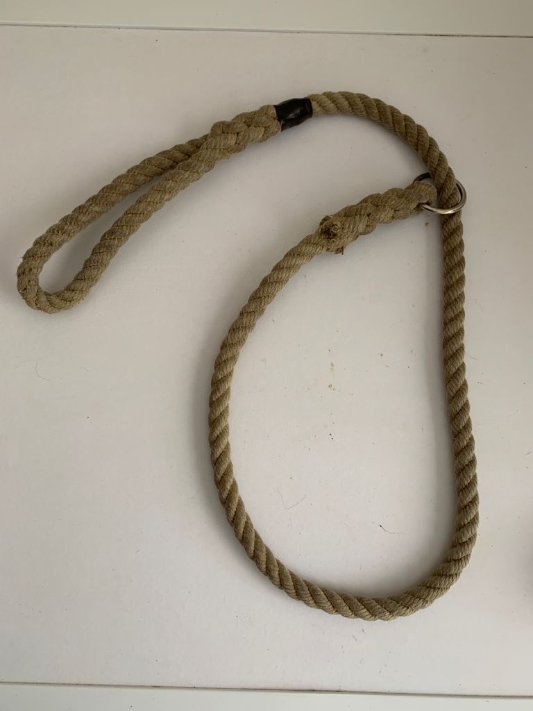 Rope dog lead 