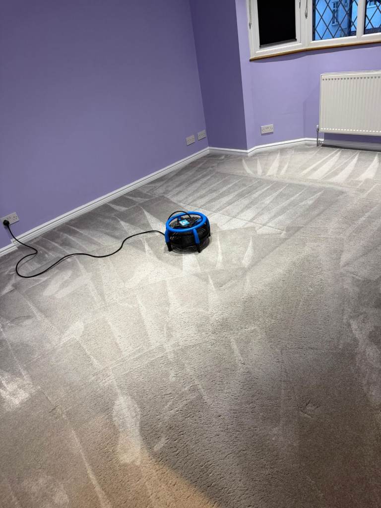 ABC Cleaning 24/7 - End Of Tenancy Cleaning, Carpet & Upholstery Cleaning, Deep cleaning etc 🧽