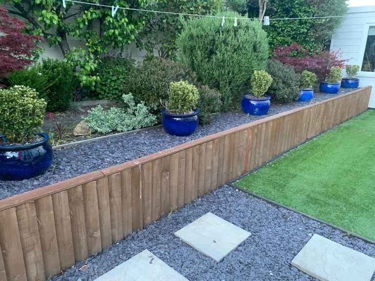 Large Garden plant pots with buxus x 6