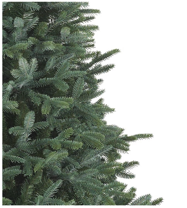 Balsam Hill European Silver Fir Christmas Tree 7ft, Unlit