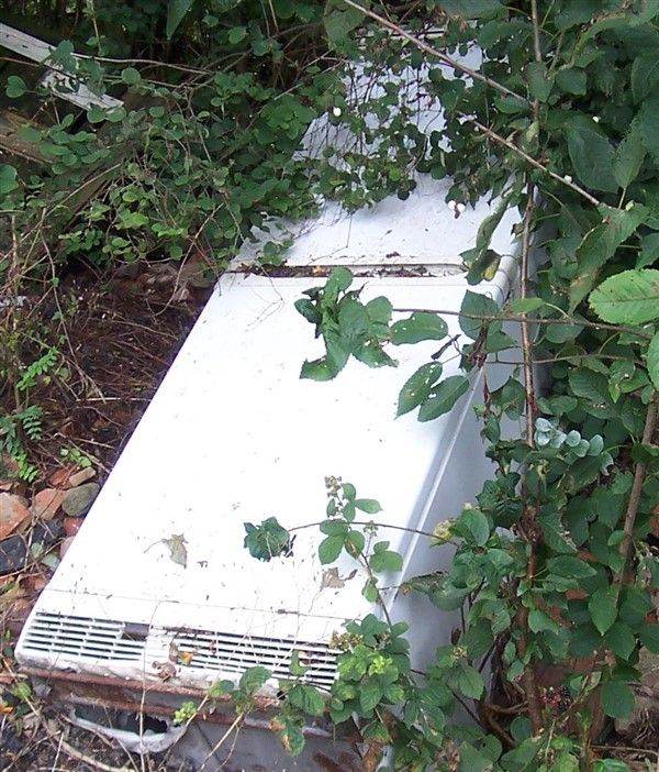 Tall Fridge Freezer for disposal. Beyond repair, and only for disposal