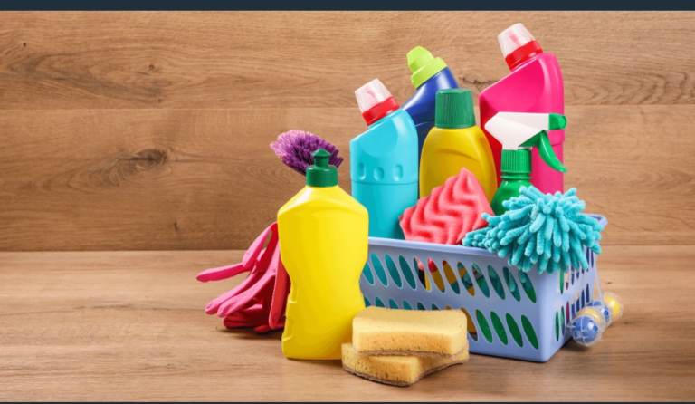 Professional  cleaning service