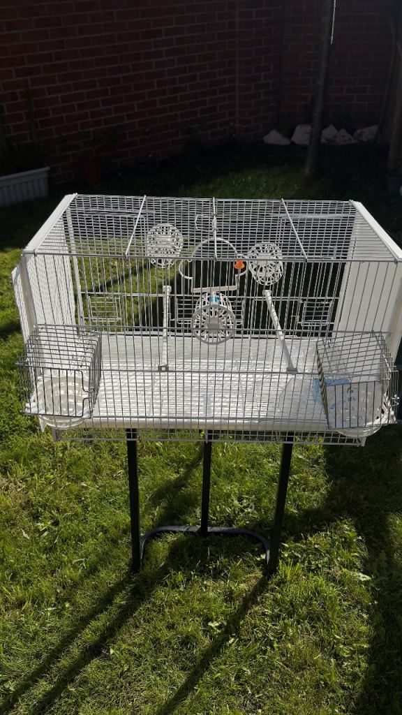 birdcage 