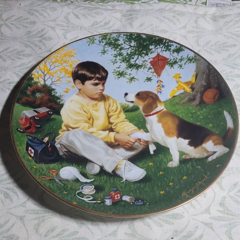 The Danbury Mint 'Wednesday's Child' Collector Plate, Limited Edition Perfect Condition (J2)