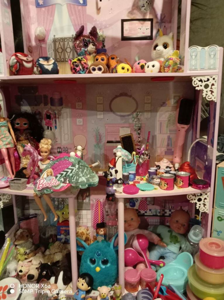 Doll house Teddy's character some collectables 