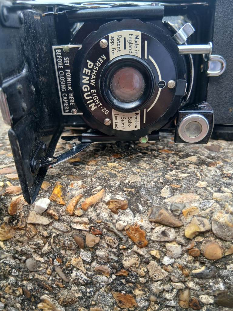 Penguin camera offers 