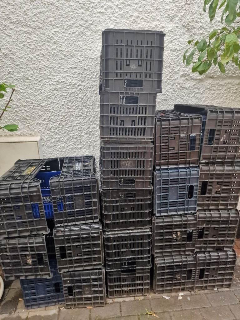 FRUIT/PICKING BOXES