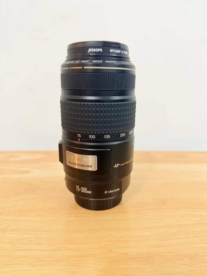 Canon EF 75-300mm f/4-5.6 IS USM Zoom Lens with Image Stabilizer