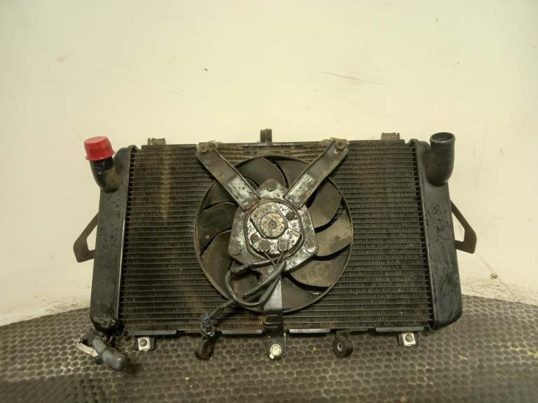 Kawasaki Z900 Radiator 2018-2025 0.9l 390610837