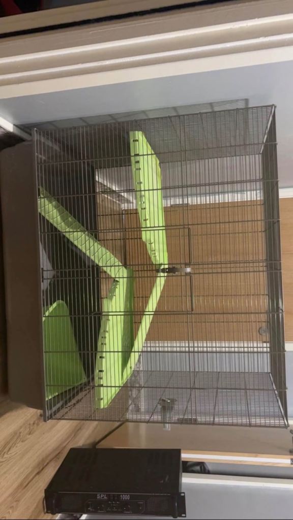 Rat cage 