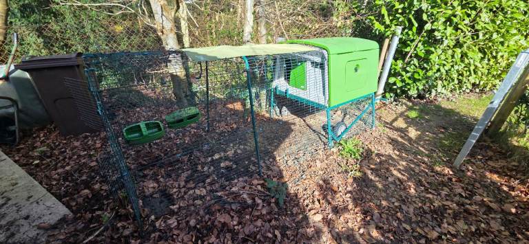 Omlet Eglu Cube Chicken Coop with Run (3m) and Wheels - Green 
