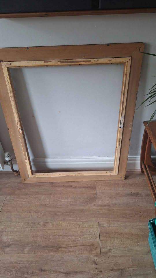 Large Gold Picture Frame with Red Velvet Trim