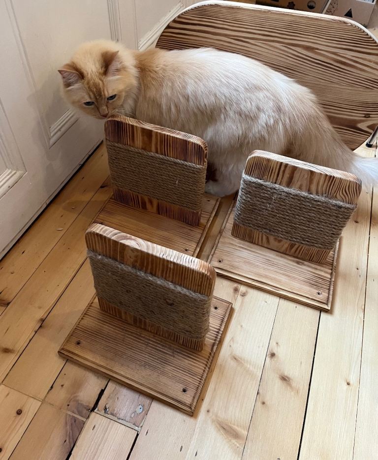 *Reserved* Wall mounted cat shelves