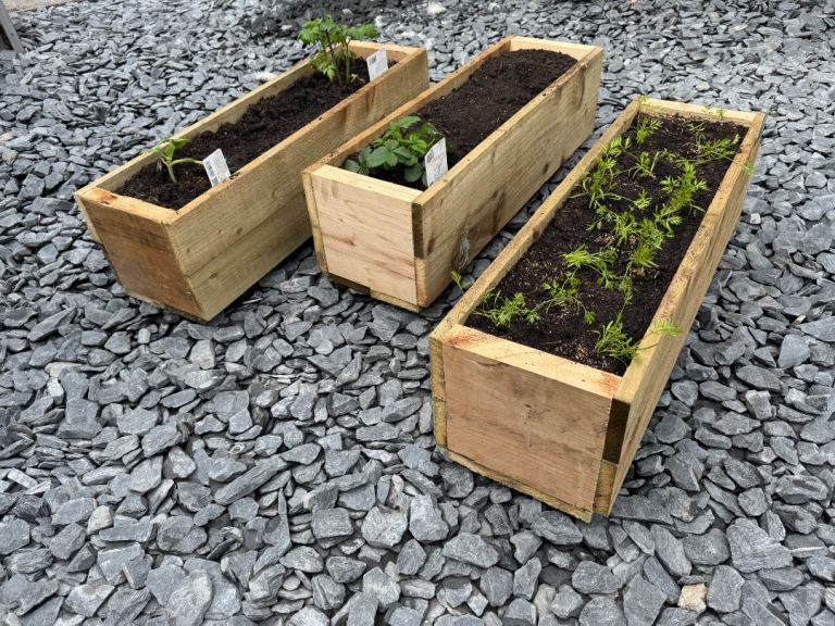  Planters