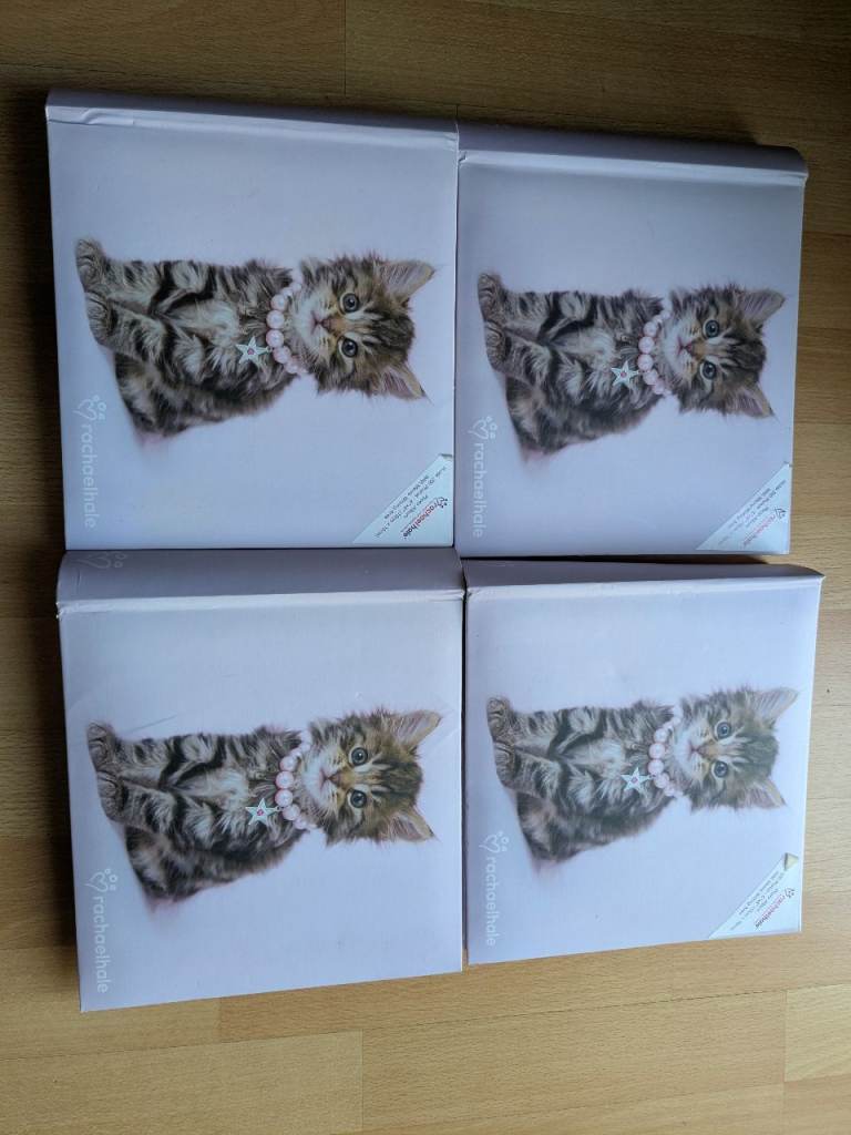 4 Rachael Hale Kitten Photo Albums - 200 Photos Each