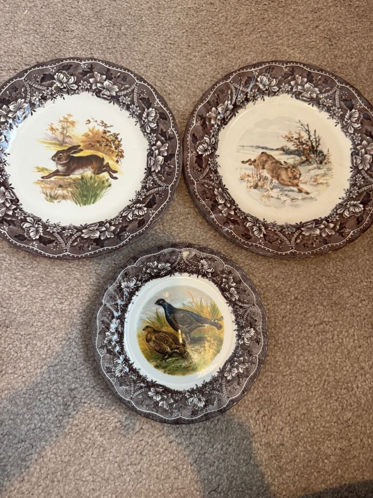 Barrett’s two dinner plates and one side plate