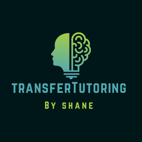 LISBURN & BELFAST Transfer Test (SEAG) Tutoring