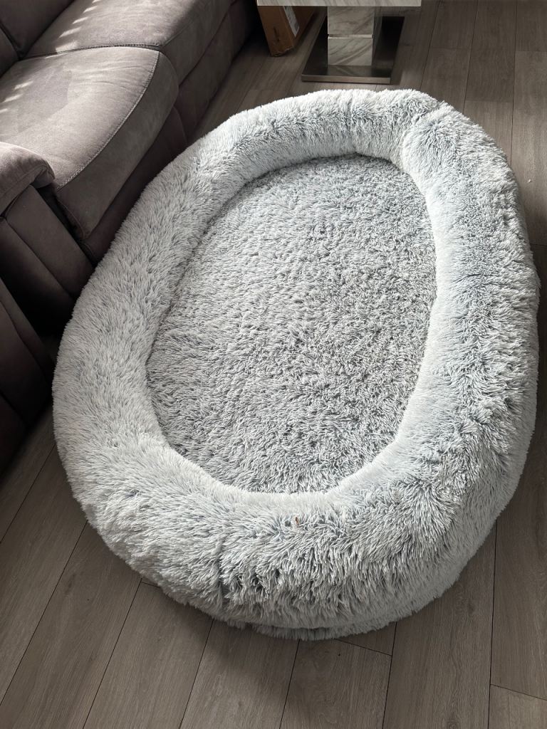 grey human-sized dog bed