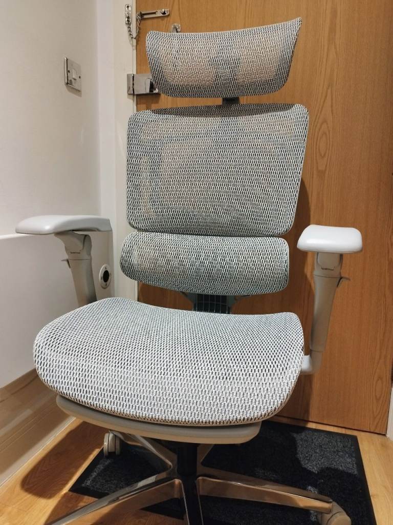 image for Flexispot ErgoX Pro ergonomic chair