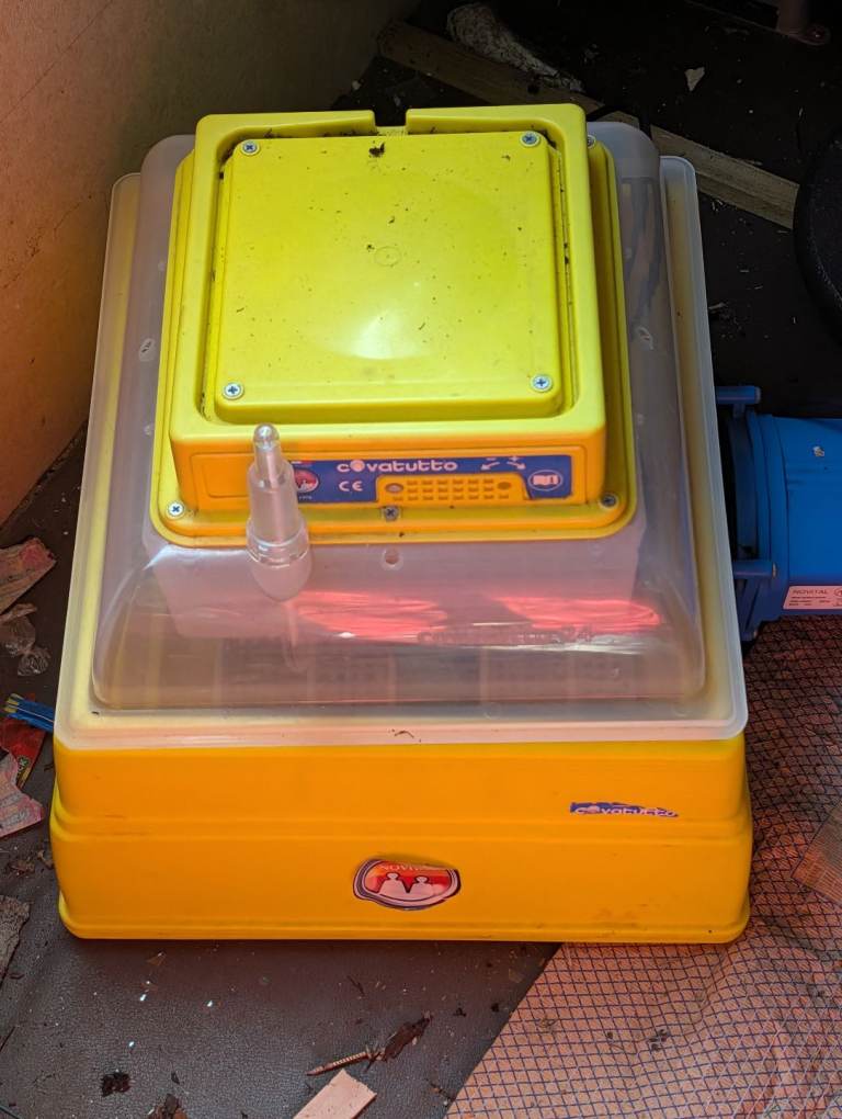 Egg incubator 