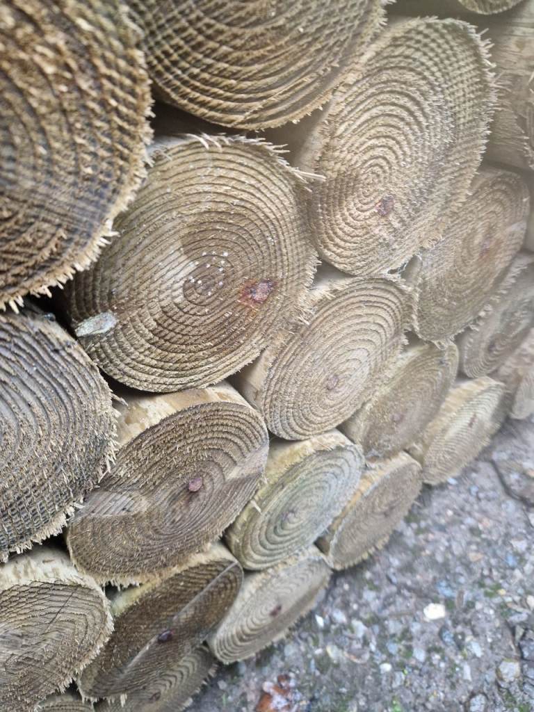 fencing Stakes Best Quality graded Tanalized 1650mm and 1800mm  75mm machined round