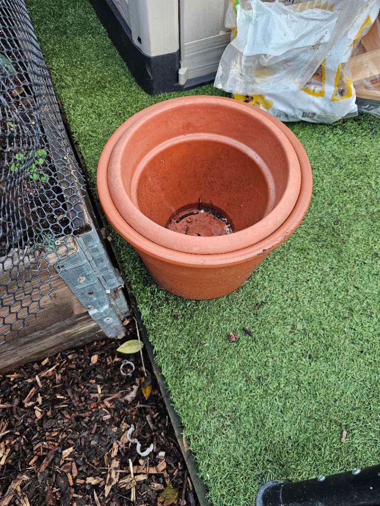 Plant pots 