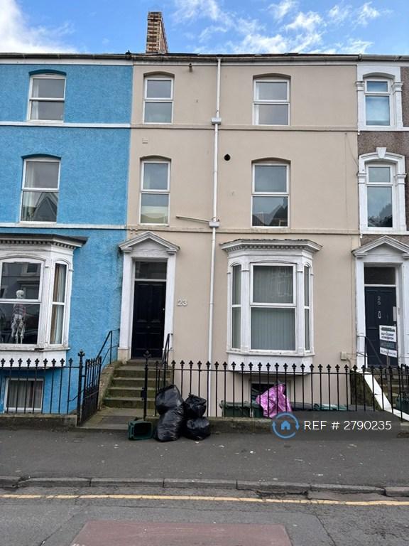 1 bedroom flat in Brynmill, Swansea, SA2 (1 bed) (#2790235)